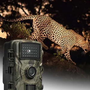 Hunting Trail Camera Waterproof, Motion Activated, Infrared Night Vision